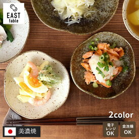 【最大2000円OFFクーポン 4/24 20:00〜4/27 9:59】変形三角小皿 13cm 和食器 皿 プレート 取り皿 中皿 サラダ皿 副菜皿 前菜皿 漬物皿 珍味皿 一品料理 変形皿 器 うつわ シック モダン カフェ食器 和カフェ 食