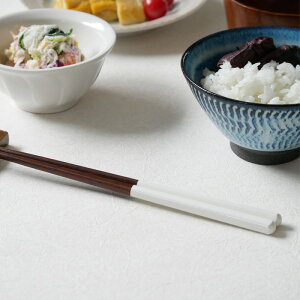 y2000~N[| `11/11 1:59zyVFoIz@COCOE ͂ ؐ VR Ebh Jg[  23cm ~ H@ @ h蕪 Ȕ JtȔ mH aH _ VbN 