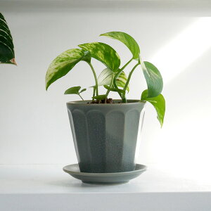 y299~N[| `11/16 23:59z3AؔEMZbg {^jJ|bg ZĎ {  _ Vv Z JtF K[fjO  O[ ϗtA