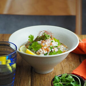 _ǂԂ ^ 19.5cm }bgԂ  ˔ {E  唫 aH  ϕ [ ǂ񘥂Ԃ ΘԂ  JtF JtF 蔫