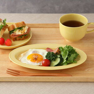 y5%OFFN[| 12/3 20:00`12/4 19:59zI[ov[g 24cm raccav[g M M H M M P[LM T_M fU[gv[g pM ICX Hv[g I[o ȉ~ J