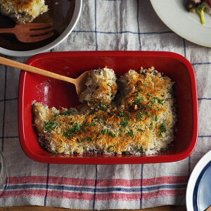 y2000~N[| `11/11 1:59zUjAM p 24.5cm HINATAO^M v[g M M mH  [M H M ϔMM I[u I[uEFA M JtF JtF