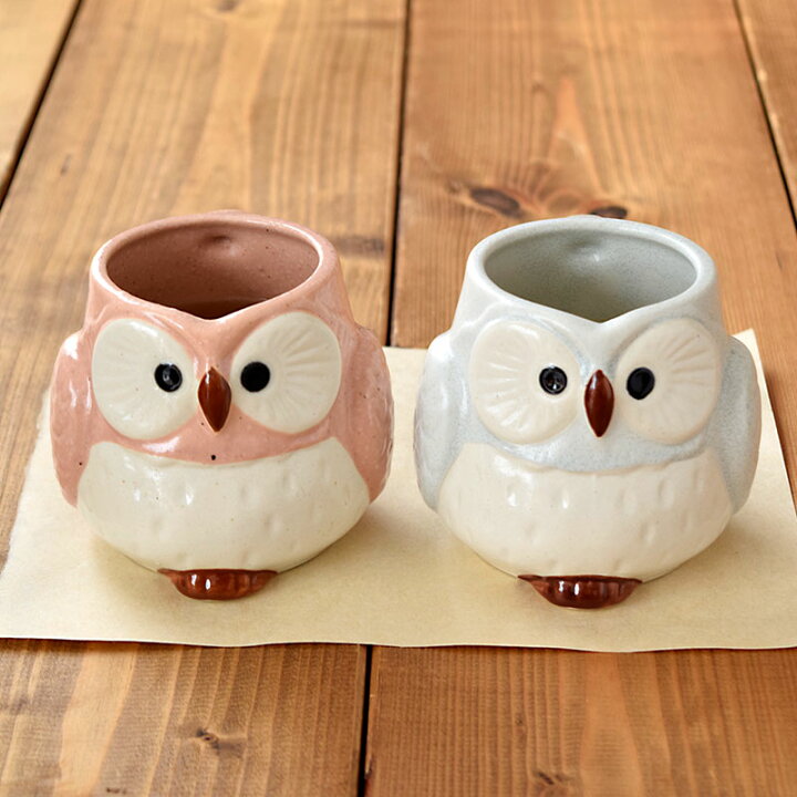 楽天市場】【最大250円OFFクーポン3/20 0:00〜3/27 9:59】和食器ギフト 