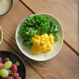 和食器 水玉 三角5寸皿 （ドットモノトーンシリーズ）中皿 ケーキ皿 和のケーキ皿 和食器 取り皿 水玉模様 小皿 プレート おしゃれ カフェ風 かわいい モダン