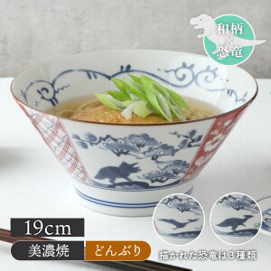 ǂԂ 19cm ]˂q ǉԂ  ˔ {E  唫 aH  H [ ǂ񘥂Ԃ ΘԂ  JtF a a JtF