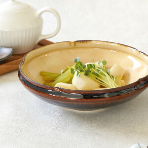 y200~N[| `11/4 19:59zԌ^ L 19.5cm ̉ aH  { Z  a_ Vv VbN {E  M M H  蔫 M ϕ T_{E