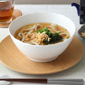 麺鉢 19cm Finaフィナボウル 鉢 お皿 皿 食器 大鉢 盛り鉢 盛り皿 煮物鉢 サラダボウル 麺鉢 丼ぶり どんぶり シンプル ニュアンスカラー