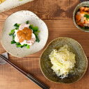 変形三角取り皿　17cm　和食器皿 プレート 取り皿 中皿 ケーキ皿 サラダ皿 副菜皿 前菜皿 一品料理 変形皿 食器 器 うつわ シック モダン カフェ食器 和カフェ おしゃ