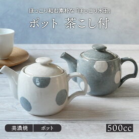 ポット 500cc 茶こし付 ほっこり水玉 和食器急須 茶器 ティーポット 和食器 洋食器 おしゃれ 日本茶 ドリンクウェア 食器 カフェ風 和カフェ