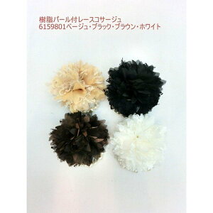 RT[W fB[XANZT[ ANZT[ t@bV G [X  ^t IV |Cg  IV ANZ ANZT RT[W fB[X   G 