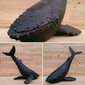 IuWF u CeAG Ƌ CeA C̐V[Y UgENW I[ig  ؒ̕ ݊  ͋Č NWD IXX {[  