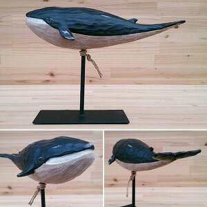 IuWF u CeAG Ƌ CeA C̐V[Y ViKXNW I[ig  t ؒ̕ 炵 NWD NW  N Ce