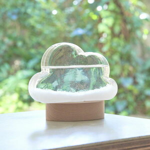 IuWF u CeAG Ƌ CeA FunScience Xg[OX NEh 19I qC Cۏ󋵗\ t̓ j[Nɕω Ϗܗp I[ig