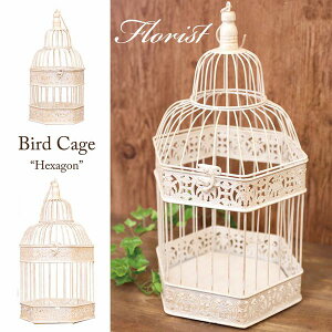 CeAgC pi g[ ~  CeAG Ƌ CeA t[Xg o[hP[W wLTS SLZbg  AeB[N ͋C t[AW