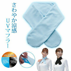 lbNN[[ EGA tBbglX g[jO X|[c N[^I ۗWFt ⊴ Ђ UVJbg { MǑ΍ K[fjO Oő98%Jbg ЂK 