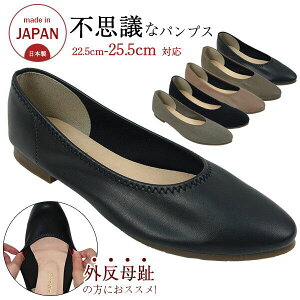 pvX fB[XV[Y fB[Xt@bV C { LтpvX tbg |CebhgD LтPUn O C\[}V}̂悤 NbV {t