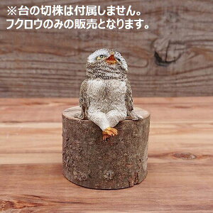 �I�u�W�F �u���� �C���e���A�G�� �Ƌ� �C���e���A �t�N���E �䖳�����̂� �������� �� �ӂ��낤 �I�[�i�����g ���N���Ƃ��� ���̉��炵���Č� �I�X�X��