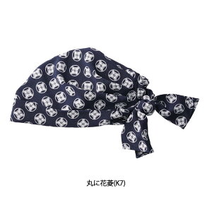 o_iX SACU-1709 ۂɉԕH t[TCY T[H Servo T[H SerVo