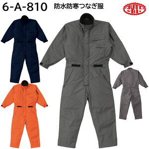 hhȂ 6-A-810 S`LL AUTO-BI RcC 3FWJ