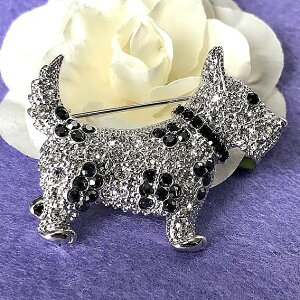  u[`    킢 lC i ANZT[ v[g Mtg  fB[X ؂₩ EGfBO p[eB[ LL ig