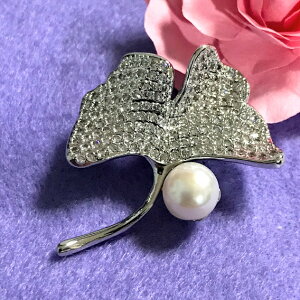 yz{Wp[ u[`  C`E L[rbNWRjA WG[ lC i ANZT[ v[g Mtg  fB[X ؂₩ EGfBO p[eB[ 