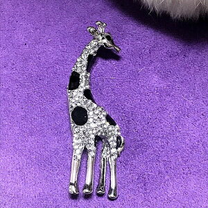 yEv2Fzu[`  L  WG[ lC i ANZT[ v[g Mtg  fB[X ؂₩ EGfBO p[eB[ ig o