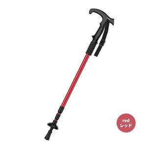 gbLO|[ oR |[ 4i ܂肽 y 4iKLk 53cm T^ I^ A~  Z  ω׏d ϖ ϋvQ K 3F RpNg jp  