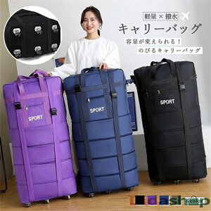 L[obO X[cP[X @\ 2way 6 4iK y y e ϖՐ jp ֕ LX^[ O h H IbNXtH[h Vv ubN O[ u[ p