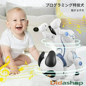 ^{bg dqybg q  i vO~O j̎q ̎q av[g ₵ qǂpd{bg l炵Ƒ 蕨 NtY