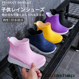 qCu[c CV[Y LbYCV[Y q LbY WjA ̎q JC  V[g j̎q S C t[`[u[c  h C K