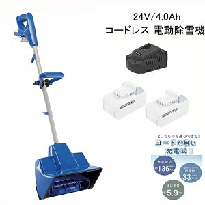 y2025VozyNۏ؁PSEF؍ς݁zd@ [diobe[j 24V/4.0Ah R[hXdXm[X[ ᕝ28cm ፂ17.8cm nCp[ d Xm[Vx Xm[uCN 