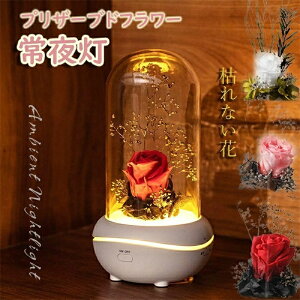 vU[uht[ ͂Ȃ o A}fBt[U[ LO j 铔 e[uCg  铔 o  a o^C v[g KN ԑ zCgf[ 