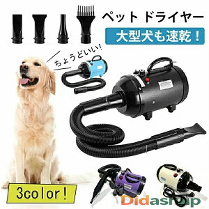 Vo ybghC[ ybg hC[ ybgp hC[ Ɩp  ybgwA[hC[