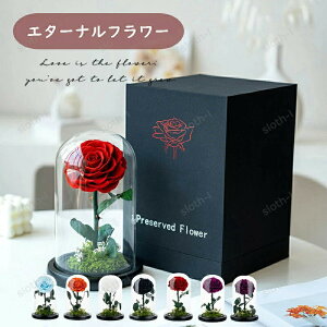 �G�^�[�i���t�����[ �v���U�[�u�h�t�����[ LED���C�g�t�� �I�ׂ�7�� �p���b�g �o�� �a���� �v���[���g �o�����^�C�� ���� �� �c�� ���F�B ������� ���a���� ���j�� �����j�� �����L�O�� ����