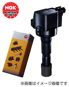 NGKCOjbVRCyKiz@U5093 (48541)