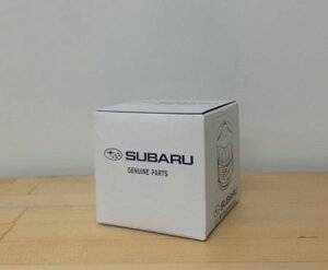 SUBARU(Xo)@ICtB^[@15208AA100