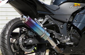 Realize(ACY) AriaiAAj `^}t[ Type-C J[Gh Ninja250R 507-SO-001-01