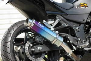 Realize(ACY) AriaiAAj `^}t[ Type-S XbVGh Ninja250R 507-SO-001-02