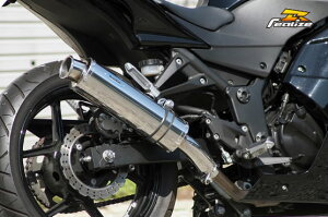 Realize(ACY) AriaiAAj XeX}t[ Type-C J[Gh Ninja250R 507-SO-003-01