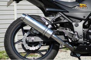 Realize(ACY) AriaiAAj XeX}t[ Type-S XbVGh Ninja250R 507-SO-003-02