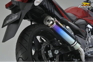 Realize(ACY) AriaiAAj `^}t[ Type-S XbVGh GSR250 509-SO-001-02