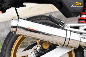 Realize(ACY) AriaiAAj XeX}t[ Type-S XbVGh VTR250 515-FE-003-02