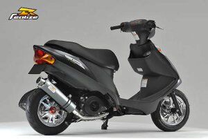 Realize(ACY) 22Racing SUS XeX}t[ 08AhXV125 308-009-00