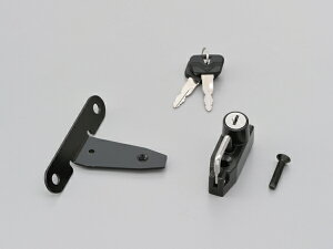 DAYTONA (fCgi) wbgz_[ REBEL250/500 91599