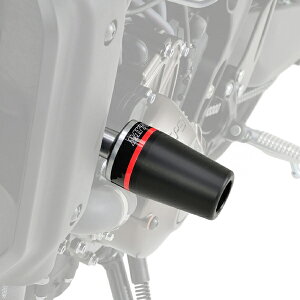 DAYTONA (fCgi) GWveN^[ XSR900 29708