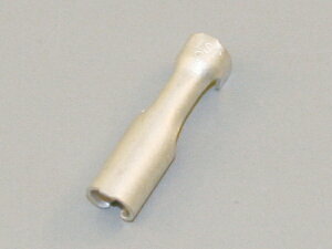 DAYTONA (fCgi) M{V[q CA/CB104^ (X) 70797