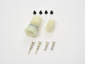 DAYTONA (fCgi) HMhRlN^[Zbg 2 96176