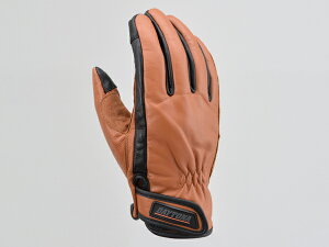 DAYTONA (fCgi) HBG-109 JEU[O[u@uE MTCY 17744