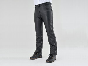 DAYTONA (fCgi) DL-005 U[pc@ubN fB[X 31C` 17826