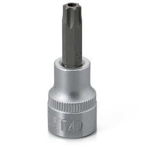 DAYTONA (fCgi) oCNp H wNTr(stgNX) \Pbg ~ T-40H p3/8C` 18485